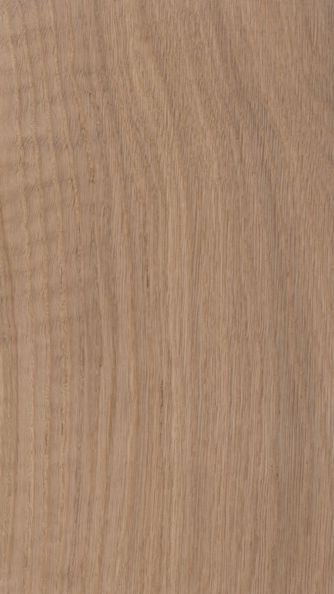 oak_flat